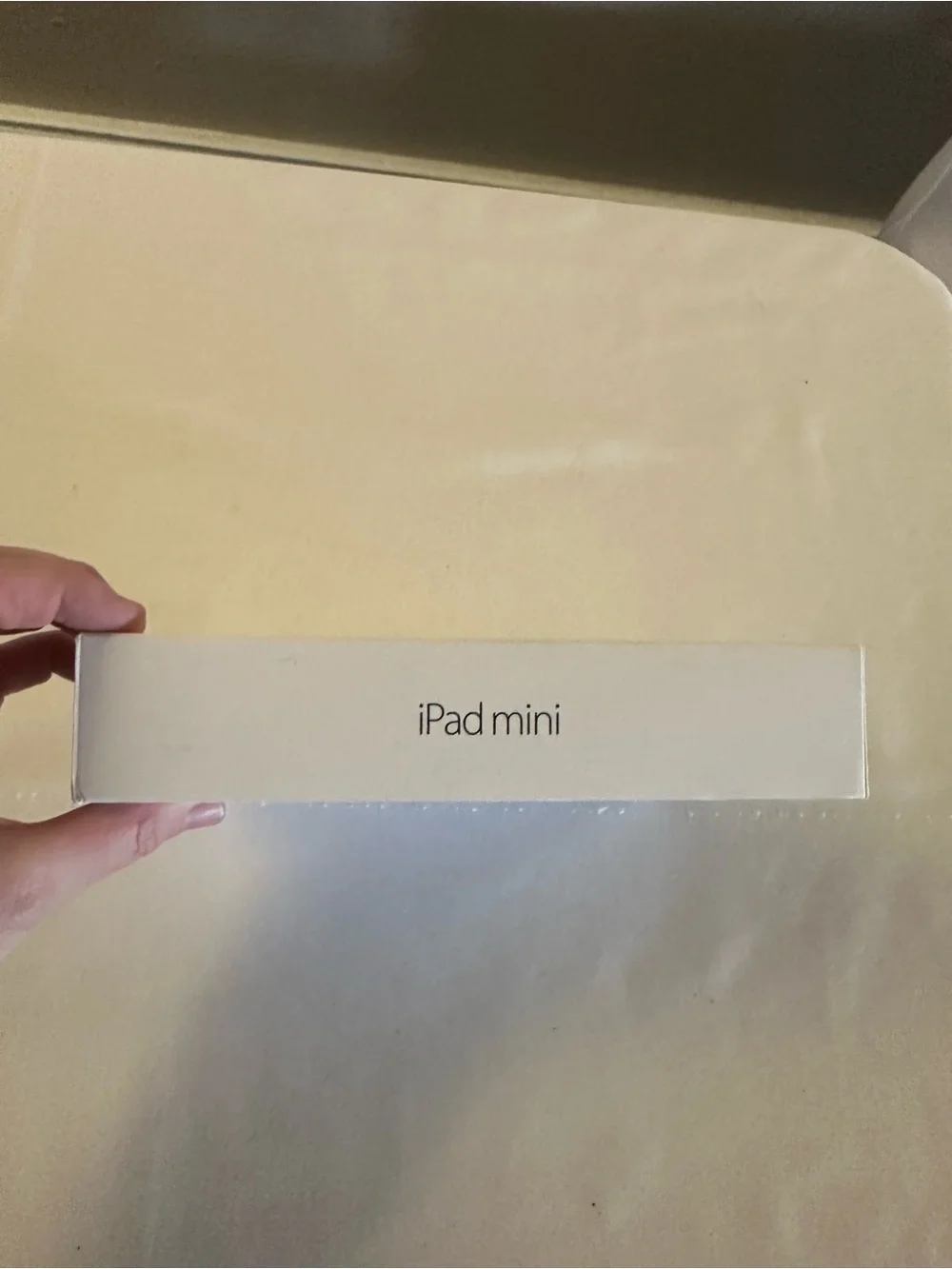 Apple iPad Mini 2 BOX ONLY